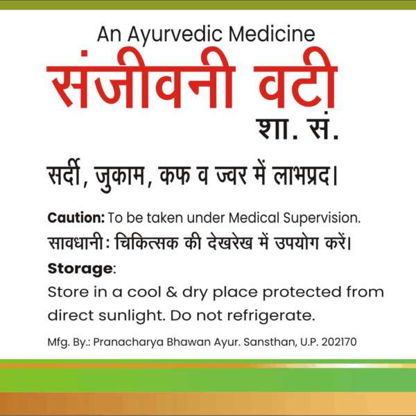 SANJEEVANI VATI - Image 4