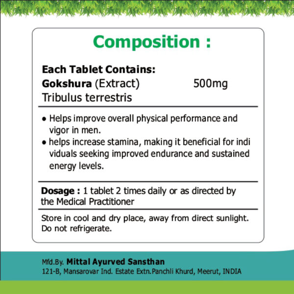 Gokshura Tablets - Image 2